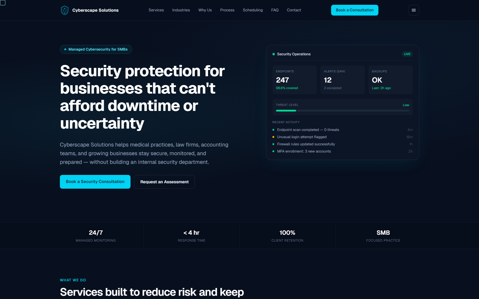 Cyberscape Solutions website homepage